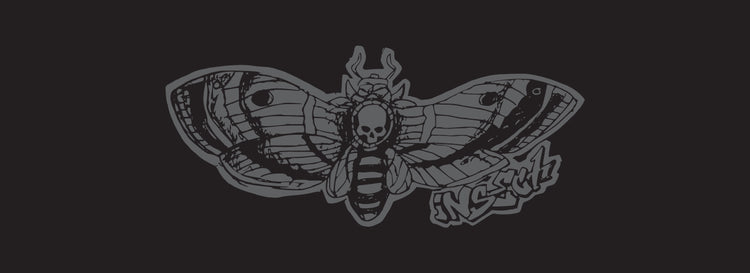 Insect